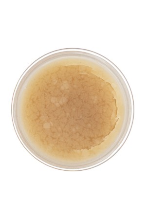 Жир паяльный нейтральный, 20 г Сибртех