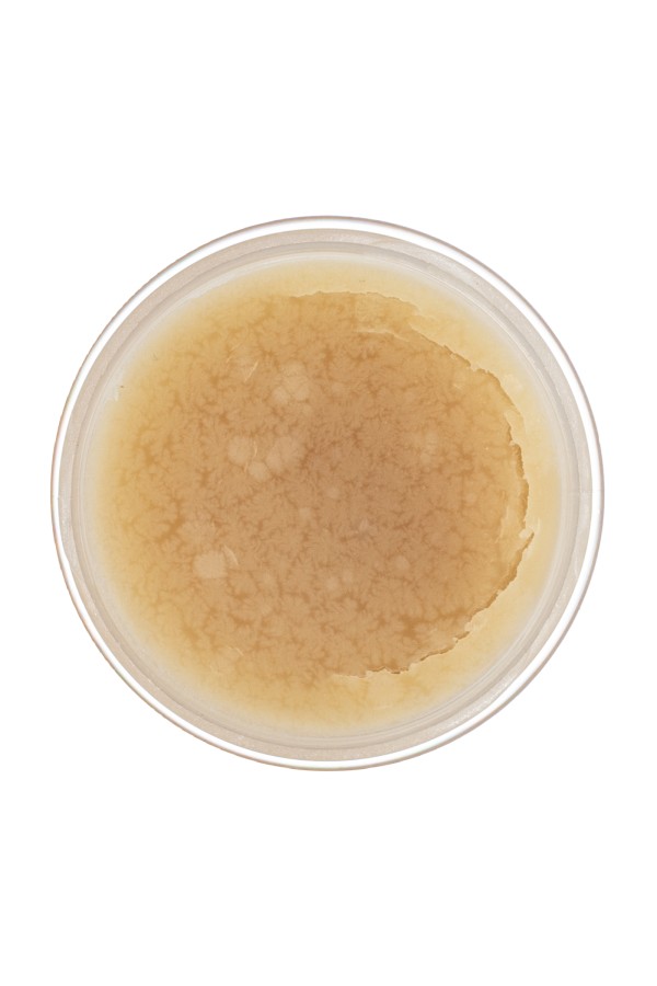 Жир паяльный нейтральный, 20 г Сибртех