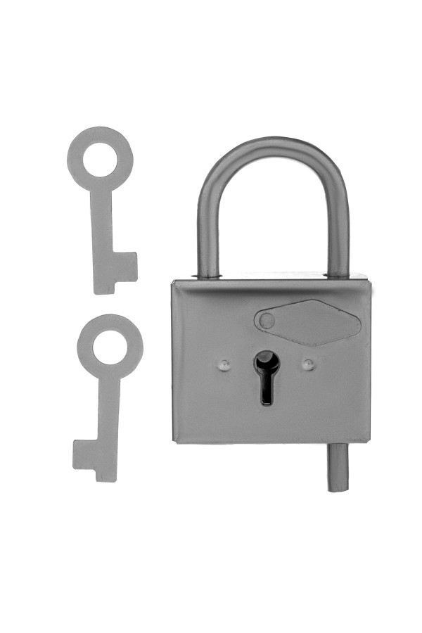 Замок навесной-контрольный, цинк, (Металлист)