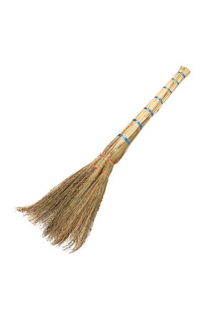 Веник // Россия