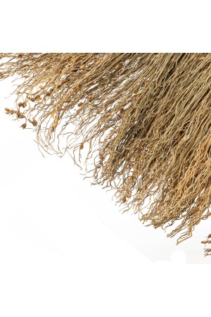 Веник // Россия