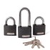 Апекс PD-01-50 Blister  с одной секретностью (2+1-L Locks+5Keys) Замок навесной (16.4)