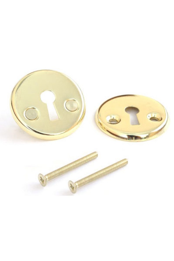 Накладка Апекс DP-S-06-G золото для 6000-WC/S (27)