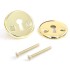 Накладка Апекс DP-S-06-G золото для 6000-WC/S (27)