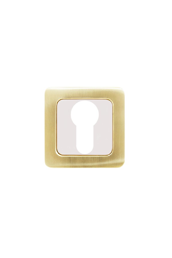 Накладка для ц/м АЛЛЮР АРТ ET-S1 SB/PB(4276) мат.золото/золото (100,10)