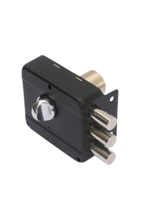 АЛЛЮР ЗН 1-3-1 Замок накладной (20)