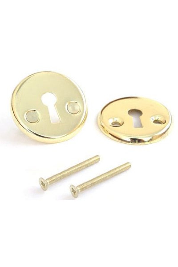 Накладка Апекс DP-S-06-G золото для 6000-WC/S (27)
